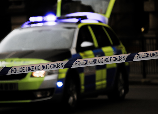 Police appeal after woman attacked