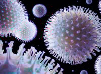 Winter vaccinations against Covid-19, RSV and flu now available