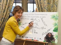 Pow joins call for primates pet ban