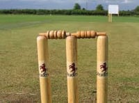 Somerset sign Dutch international