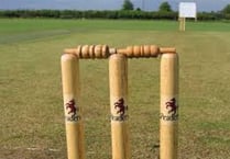 Somerset sign Dutch international
