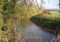 Flooding fears on River Tone blockages