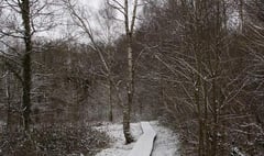 Walk in a winter wonderland at Langford Heathfield nature reserve