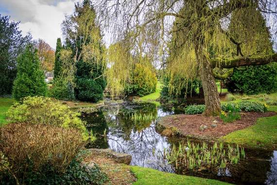 Town has taken a “big step forward” in caring for its green spaces