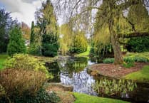 Town has taken a “big step forward” in caring for its green spaces