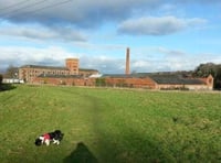 Appeal for residents to be 'extra vigilant' after arson at Fox's Field