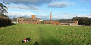 Appeal for residents to be 'extra vigilant' after arson at Fox's Field