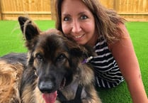 Pet lover on how German Shepherd Max nearly died of dog bloat
