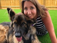 Pet lover on how German Shepherd Max nearly died of dog bloat
