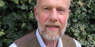 Weather report for Wellington