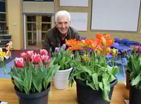 Numbers up at town's spring  flower show