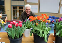 Numbers up at town's spring  flower show
