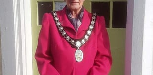 Mayor of Wellington issues statement ahead of Council Tax rise