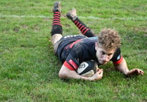 Wellington look for the points at Kingsbridge