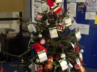 Groups go for it in Festival of Trees