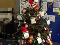 Groups go for it in Festival of Trees
