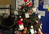 Groups go for it in Festival of Trees
