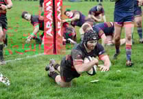 Wellington go for maximum points