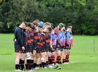 Wellington need to keep focus
