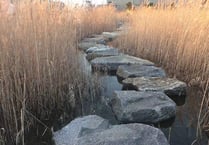 A fee and flexibility for Stepping Stones