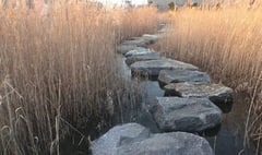 A fee and flexibility for Stepping Stones