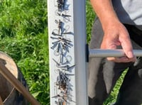 Police appeal on nails found in road