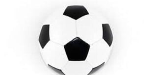Wellington unbeaten in five friendlies