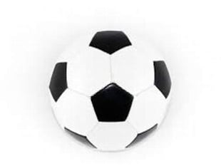 Wellington unbeaten in five friendlies