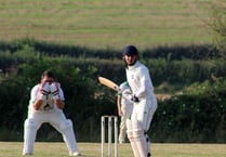 Cricket, lovely cricket!