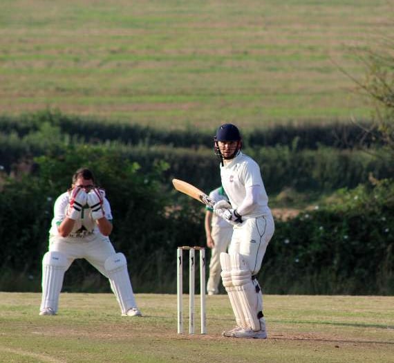 Cricket, lovely cricket!