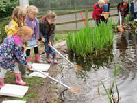 First grants for eco-schools