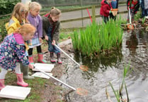 First grants for eco-schools