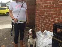 'I picked up litter but binmen wouldn't take it away'
