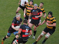 Brave Wellington frighten Hornets