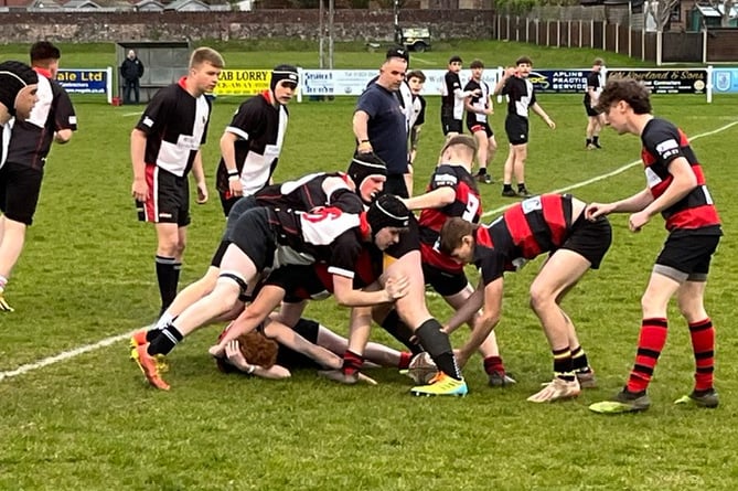Wellington rugby