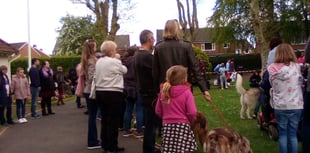 Spring Fayre is back
