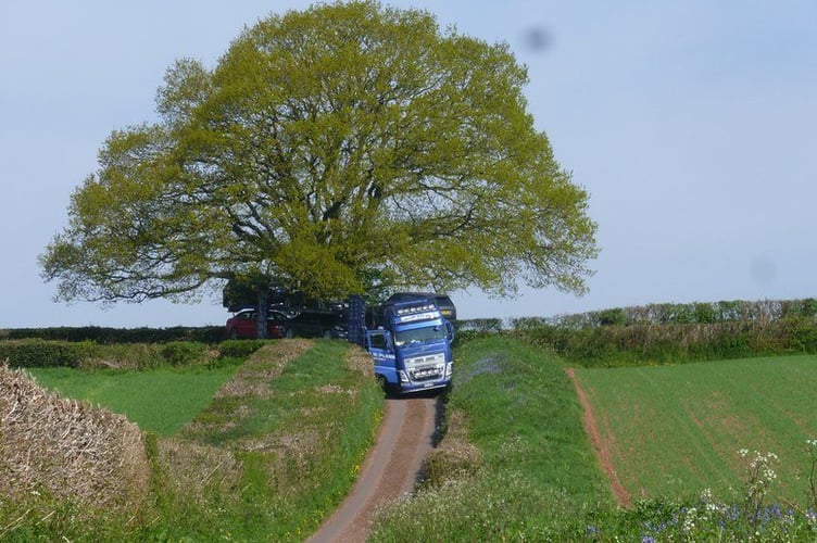Lorry stuck on narrow lane near Wellington