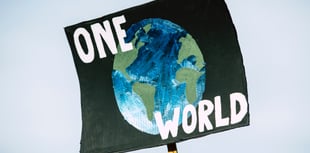 Laws protecting wildlife ‘at risk’, says trust