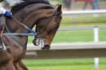 OPINION: Using the whip in horse racing should be banned completely