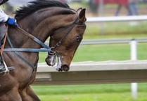 OPINION: Using the whip in horse racing should be banned completely