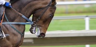 OPINION: Using the whip in horse racing should be banned completely