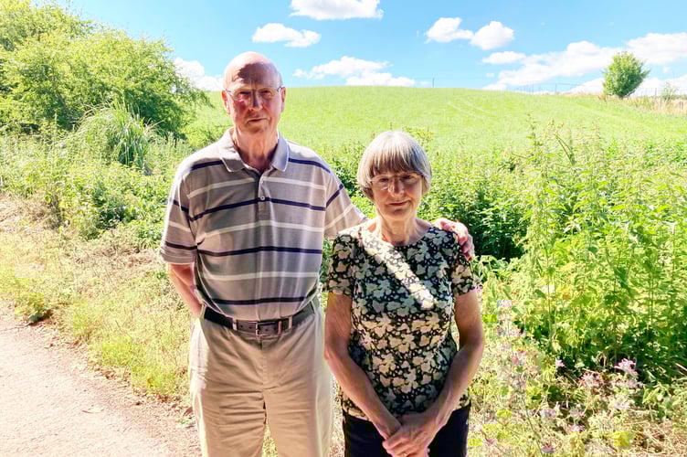 Tree vandalism in Milverton