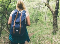 Some of the best walks in and around Wellington