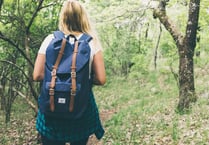 Some of the best walks in and around Wellington