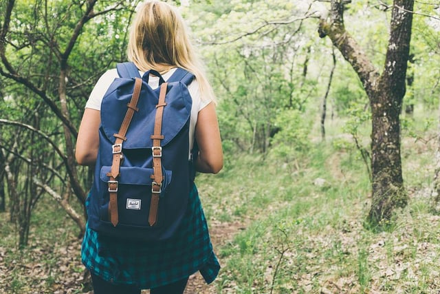Some of the best walks in and around Wellington