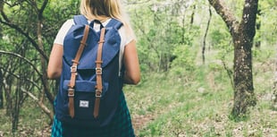 Some of the best walks in and around Wellington