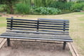Nearly half Wellington park’s benches vandalised