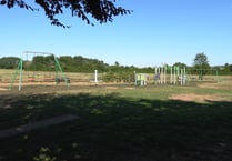 Wasps invasion scuppers play park opening
