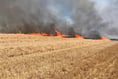 Big field blaze