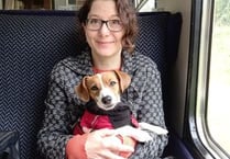Public appeal after drone and motion cameras fail to find lost dog